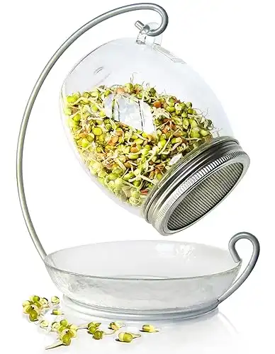 Premium Sprouting Jar Kit - Unique 30 oz Wide Mouth Sprouting Jar, Stand, Tray and 316 Stainless Screen Lid | Decorative Indoor Seed Sprouter and Germinator (1 Kit)