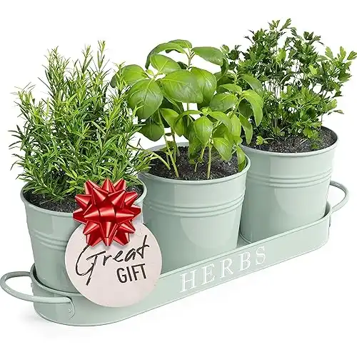 Barnyard Designs Indoor Herb Garden Planter Set with Tray, Metal Windowsill Plant Pots with Drainage for Outdoor or Indoor Plants, Set/3 (Soft Mint)